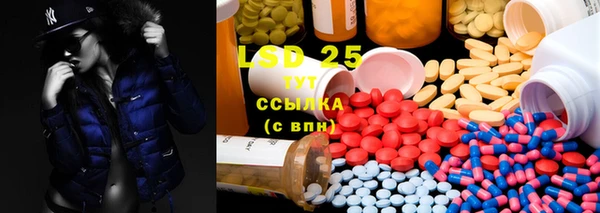 мяу мяу мука Баксан