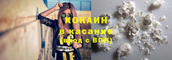 мяу мяу мука Баксан