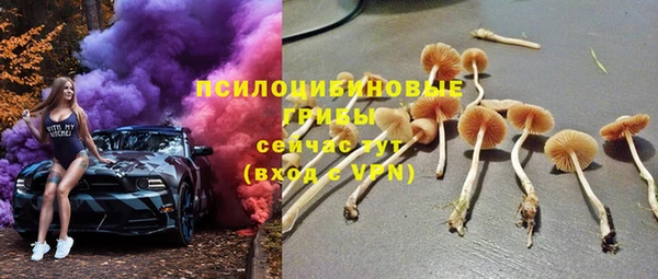 мяу мяу мука Баксан