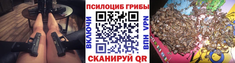 сколько стоит  Старый Крым  Галлюциногенные грибы Cubensis 